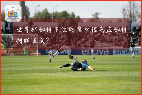 世界杯如何下注时盘口信息应如何判断正误？