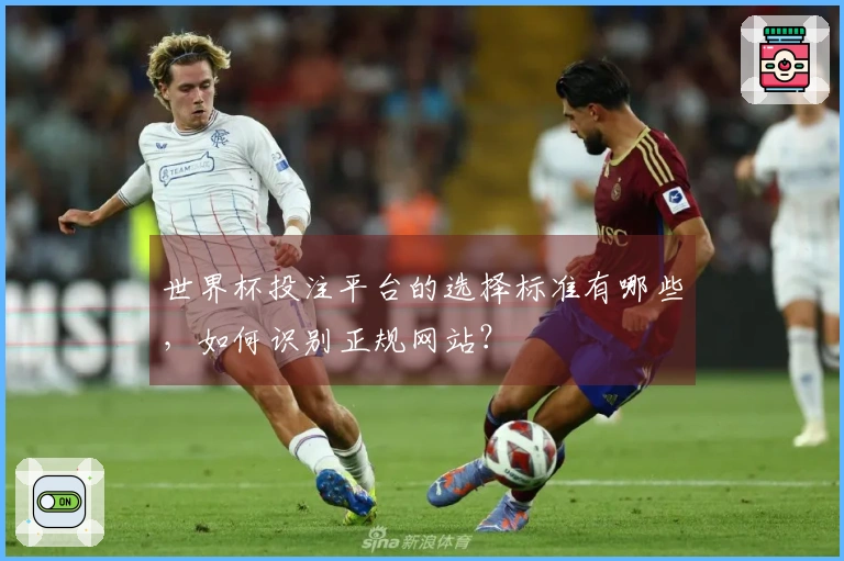 世界杯投注平台的选择标准有哪些，如何识别正规网站？