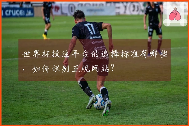 世界杯投注平台的选择标准有哪些，如何识别正规网站？