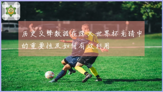 历史交锋数据在烽火世界杯竞猜中的重要性及如何有效利用