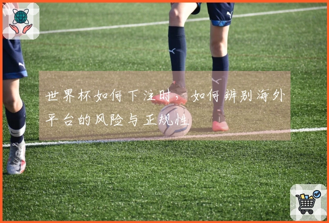世界杯如何下注时，如何辨别海外平台的风险与正规性
