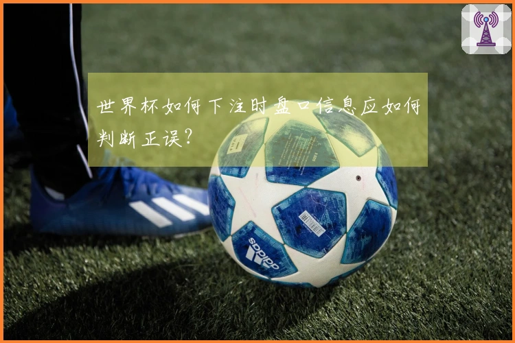 世界杯如何下注时盘口信息应如何判断正误？