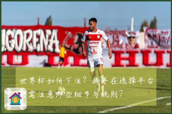 世界杯如何下注？新手在选择平台时需注意哪些细节与规则？