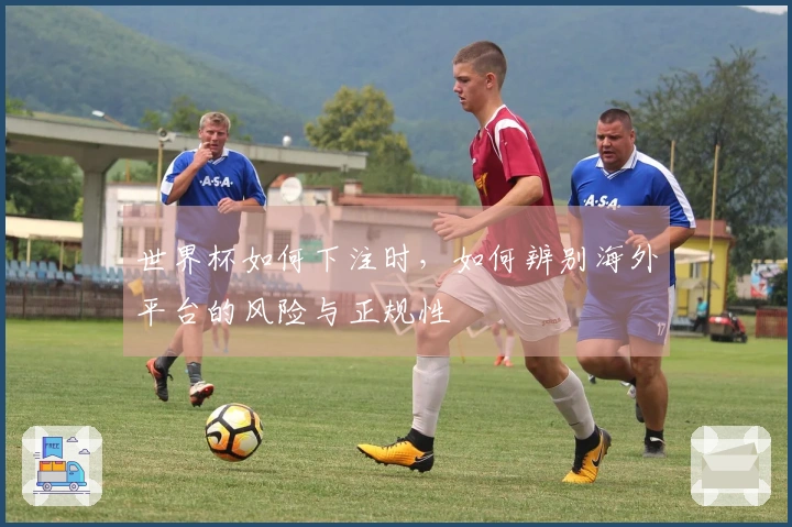 世界杯如何下注时，如何辨别海外平台的风险与正规性