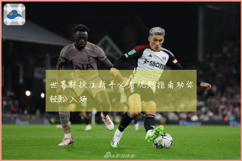 世界杯投注新手必看规则指南助你轻松入场